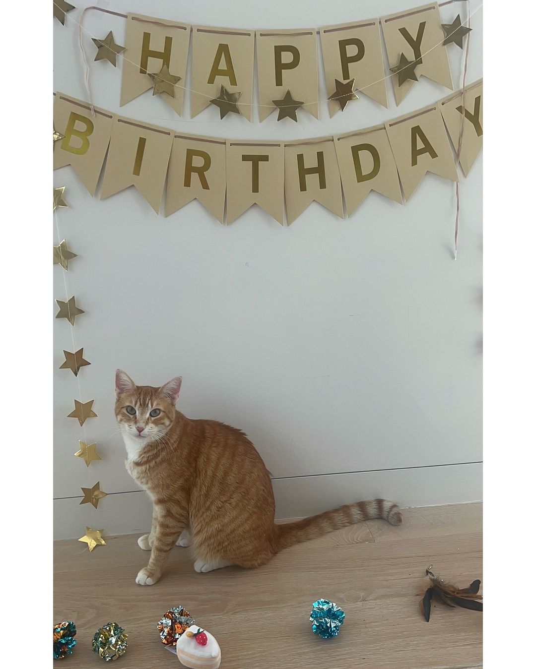 Yoyo's 3rd birthday